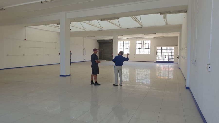 To Let commercial Property for Rent in Observatory Western Cape